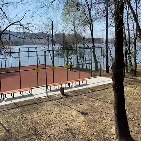 Апартаменты Olive Tree *