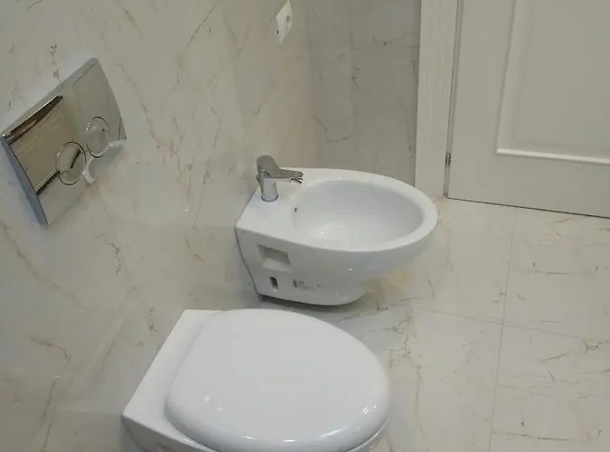 Olive Tree * ティラナ