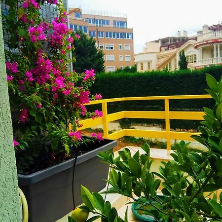 Apartment Olive Tree