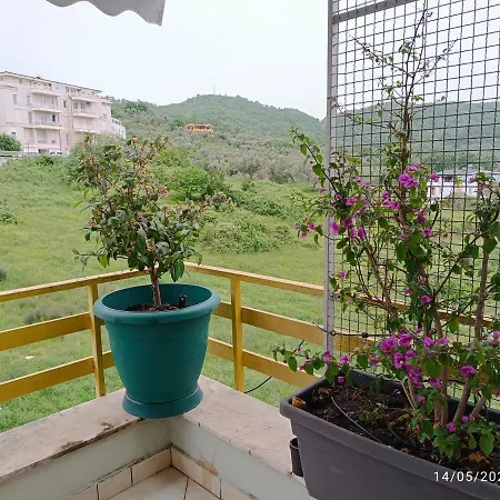 Appartamento Olive Tree Tirana