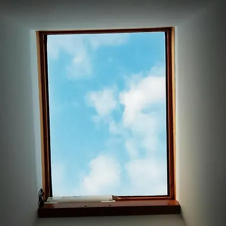 Appartamento Olive Tree *