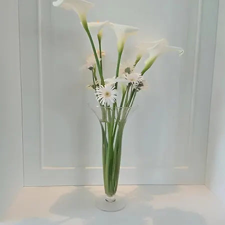 아파트 Olive Tree 티라나