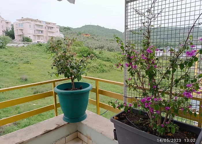 Apartment Olive Tree Tirana