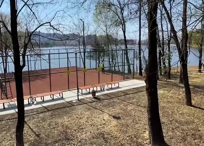 Apartment Olive Tree *