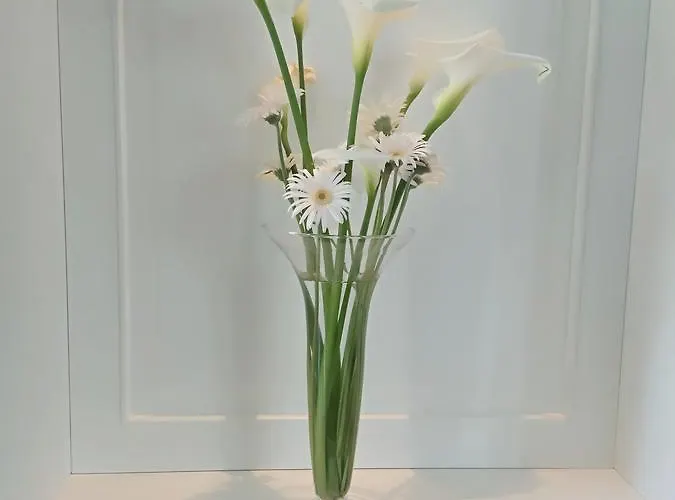 Apartment Olive Tree Tirana