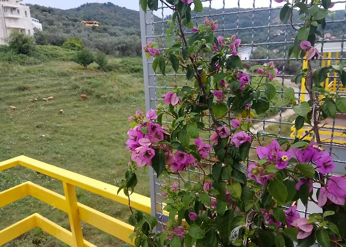 Apartamento Olive Tree